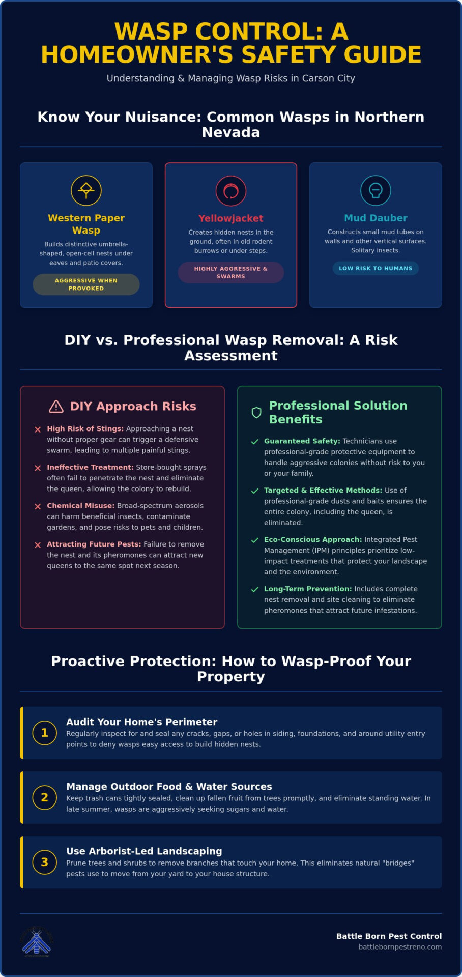 Professional Wasp Control in Carson City: Safe, Effective Nest Removal