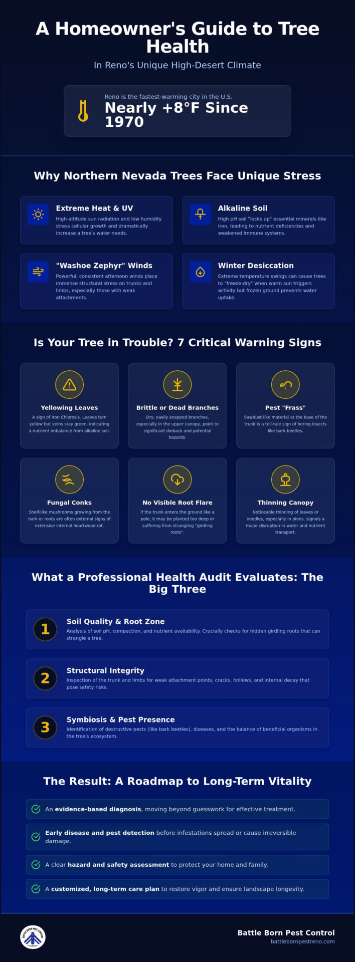 Tree Health Assessment Reno: A Homeowner’s Guide to Arborist Care (2026)
