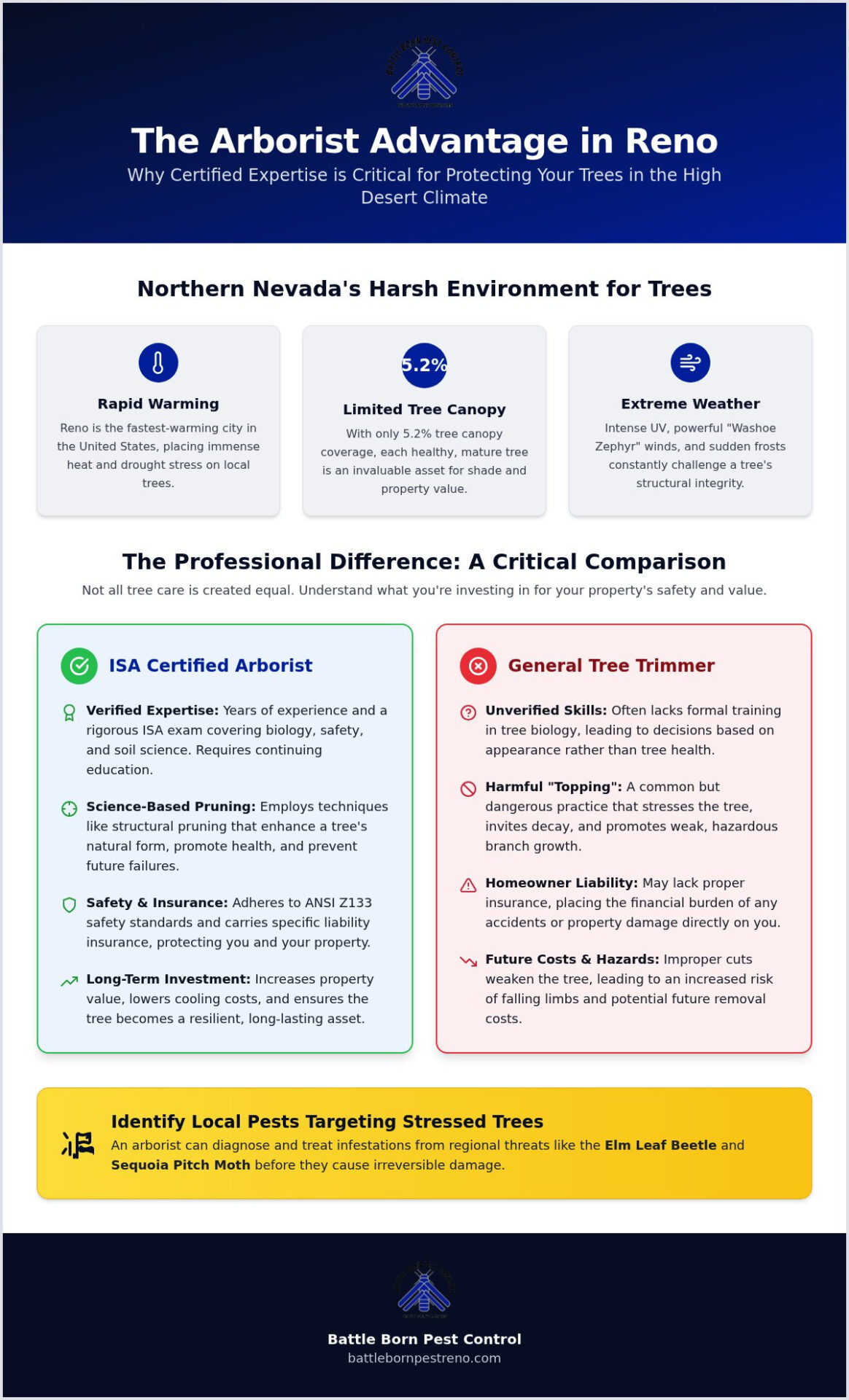 Certified Arborist Reno NV: Expert Tree Care for Northern Nevada Landscapes