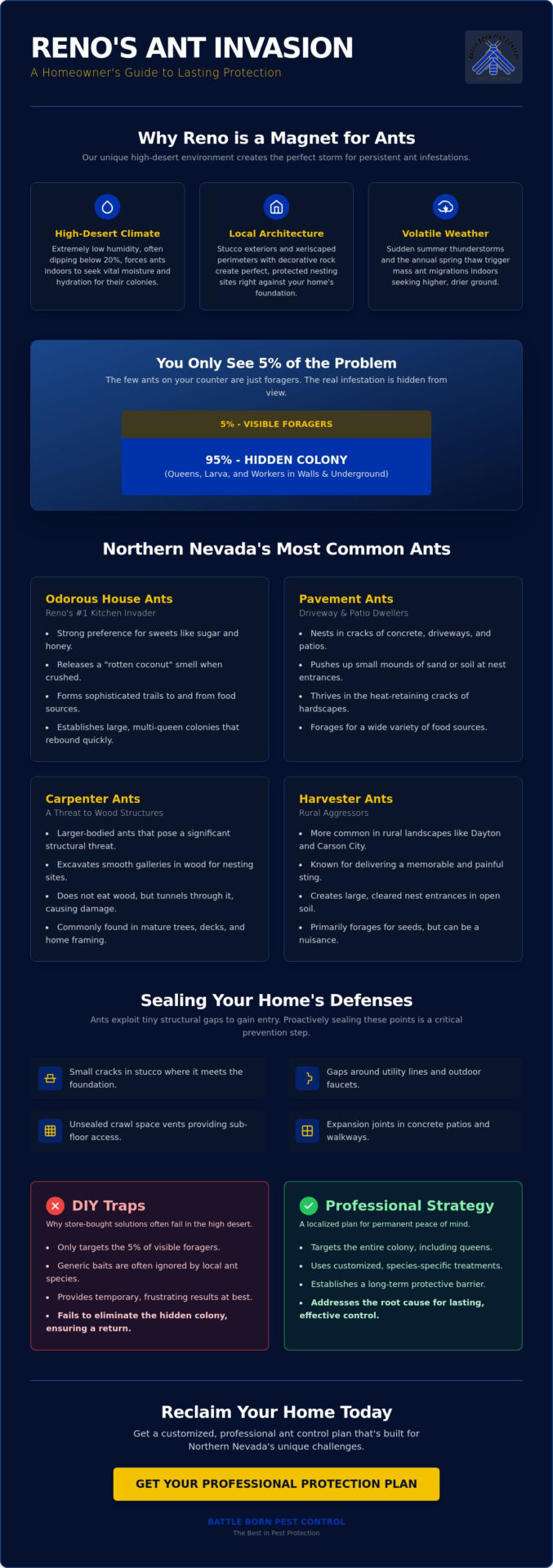 Effective Ant Control Reno: Professional Kitchen Protection Guide