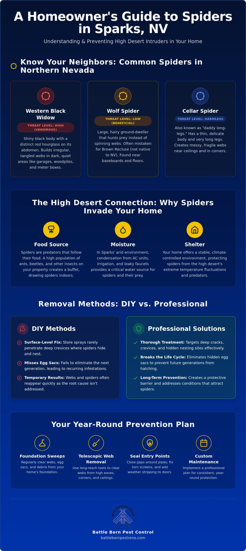 Spider Removal in Sparks, NV: A Professional Guide to High Desert Pest Control