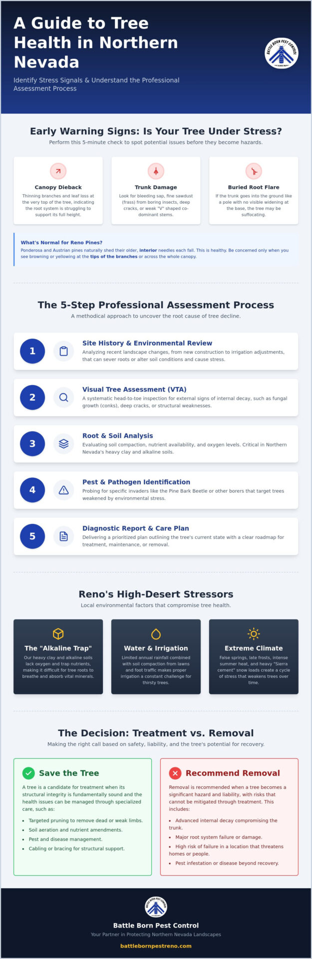 Tree Health Assessment in Reno, NV: A Homeowner’s Guide to Professional Care