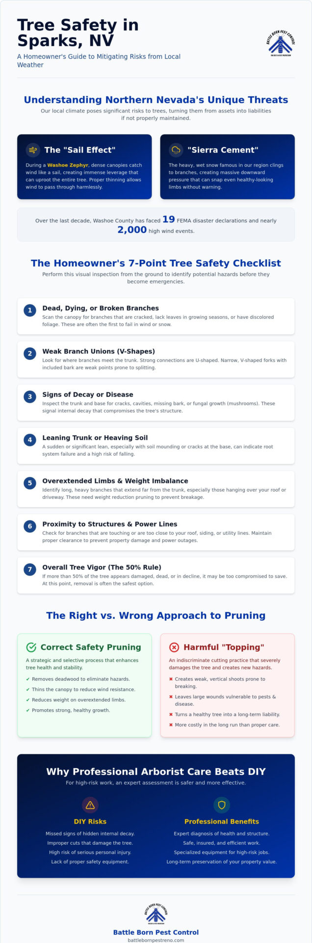 Tree Pruning for Safety in Sparks: The Essential Homeowner Checklist