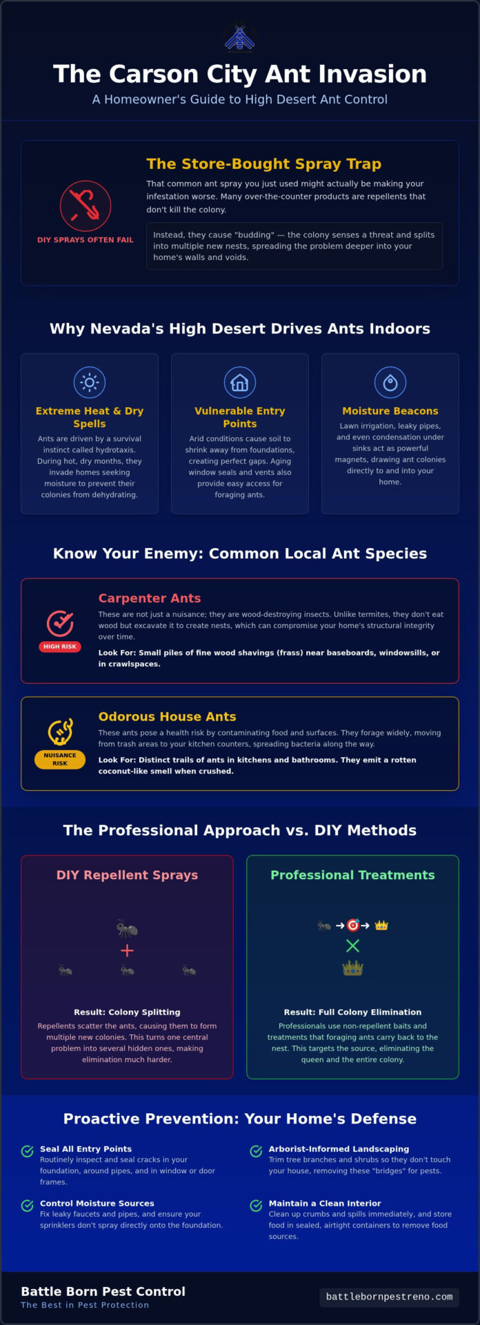 Expert Ant Control in Carson City, NV: Protecting Your High Desert Home