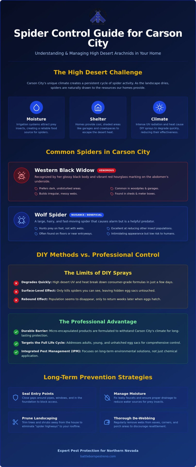 Expert Spider Control in Carson City: Protecting Your High Desert Home