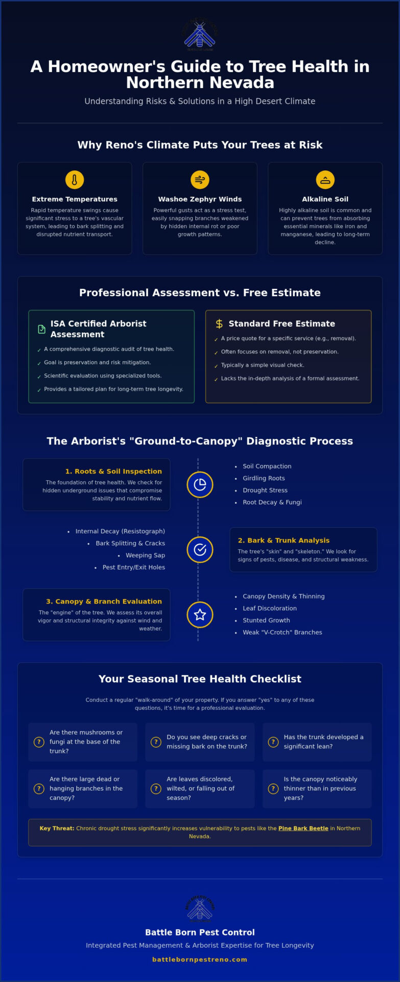 Tree Health Assessment Reno NV: A Homeowner’s Guide to Diagnosing Sick Trees