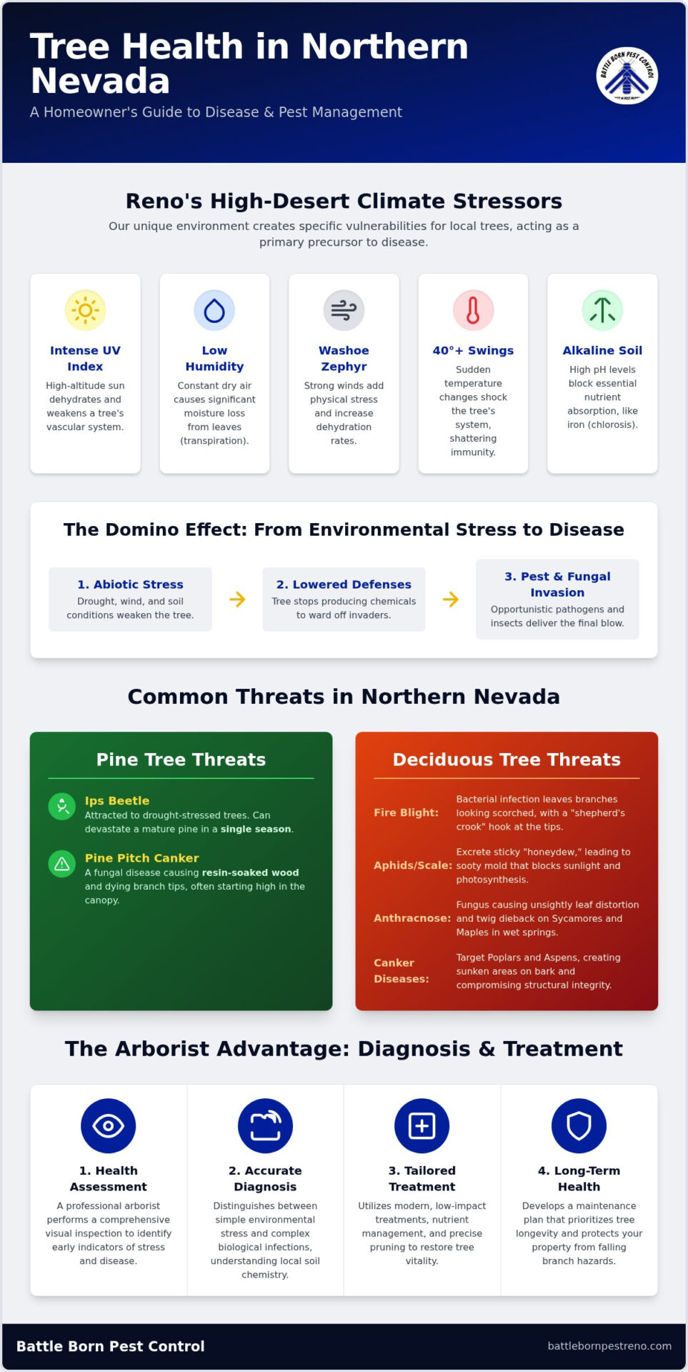 Expert Tree Disease Management in Reno: Protecting Your High Desert Landscape