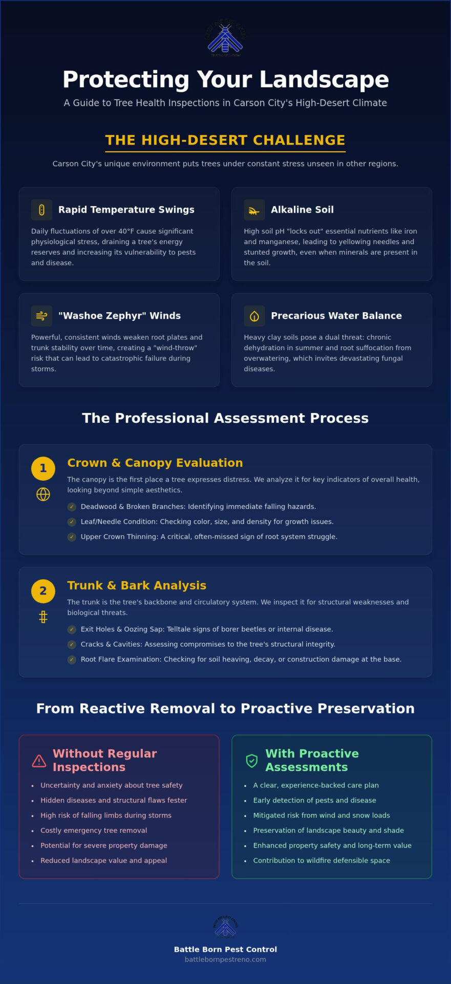 Tree Health Inspection in Carson City: A Homeowner’s Guide to High-Desert Tree Care