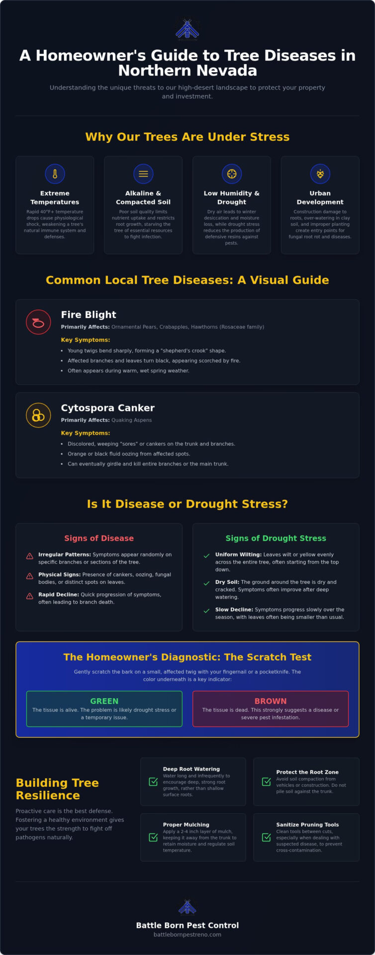 Common Tree Diseases in Northern Nevada: A Homeowner’s Guide to Identification and Treatment