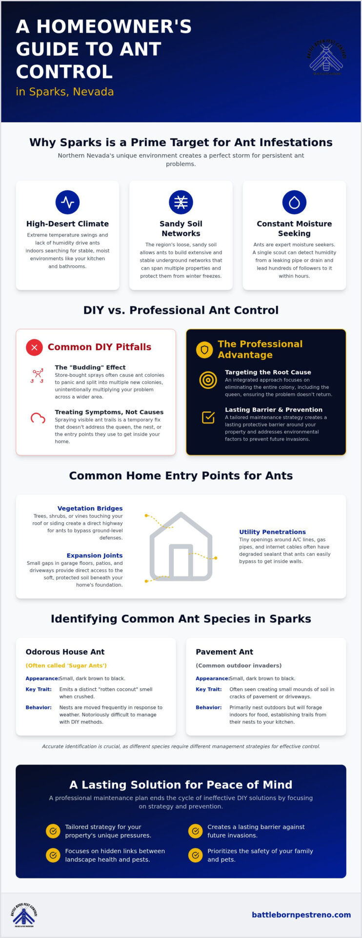 Professional Ant Control Sparks NV: Protecting Your High Desert Home